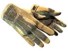 ★ Sport Gloves | Arid