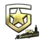 Gambit Gaming (Gold) | Stockholm 2021