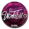 WorldEdit (Foil) | Katowice 2019