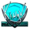 kNgV- (Foil) | Krakow 2017