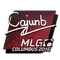 cajunb | MLG Columbus 2016