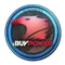 iBUYPOWER | Cologne 2014