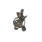 Lil' Zen