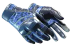 ★ Moto Gloves | Polygon