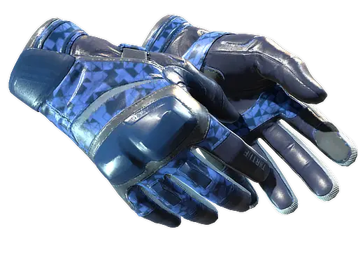 ★ Moto Gloves | Polygon