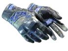★ Moto Gloves | Polygon