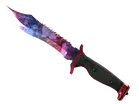 ★ Bowie Knife | Doppler
