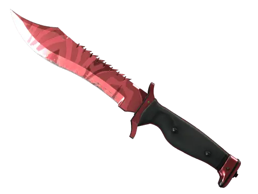 ★ Bowie Knife | Slaughter