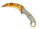 ★ Talon Knife | Tiger Tooth