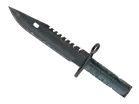 ★ M9 Bayonet | Night