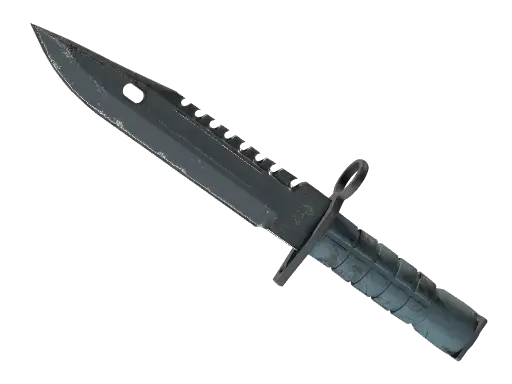 ★ M9 Bayonet | Night