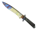 ★ Classic Knife | Case Hardened