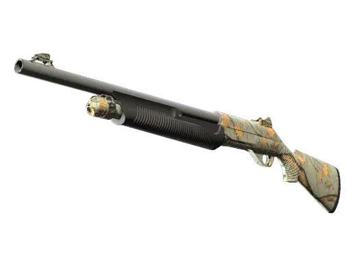Nova | Modern Hunter
