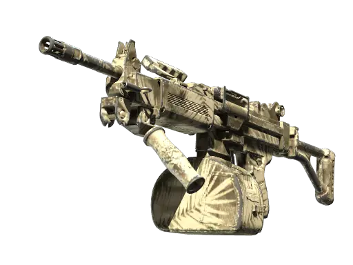 Negev | Palm