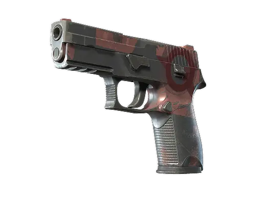 P250 | Constructivist
