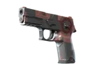 P250 | Constructivist