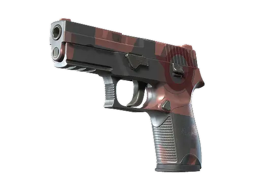 P250 | Constructivist
