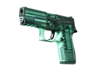 P250 | X-Ray