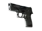 P250 | Metallic DDPAT