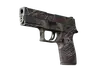 P250 | Facility Draft