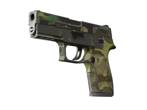 P250 | Boreal Forest