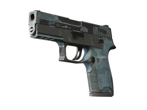 P250 | Forest Night