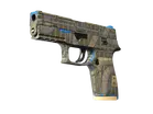 P250 | Exchanger