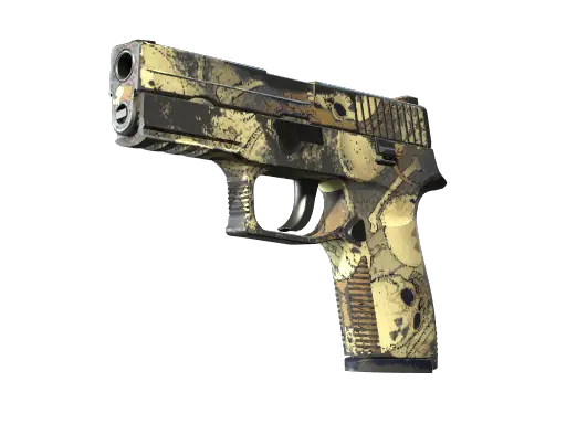P250 | Contamination