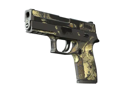 P250 | Contamination