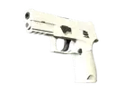 P250 | Whiteout