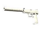 USP-S | Whiteout