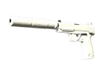 USP-S | Whiteout