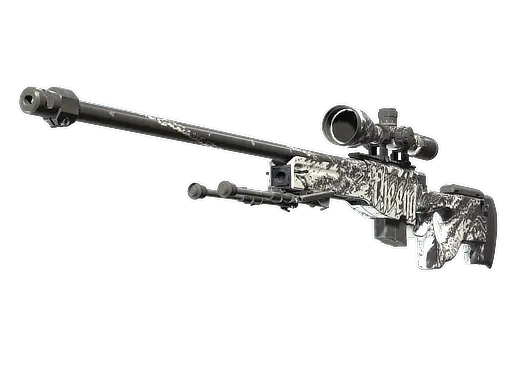 AWP | The End