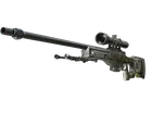 AWP | Worm God