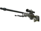 AWP | Worm God