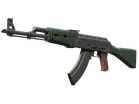 AK-47 | First Class