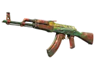 AK-47 | The Outsiders