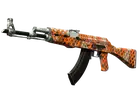 AK-47 | Safety Net