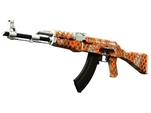 AK-47 | Safety Net