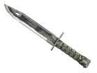 ★ Bayonet | Scorched