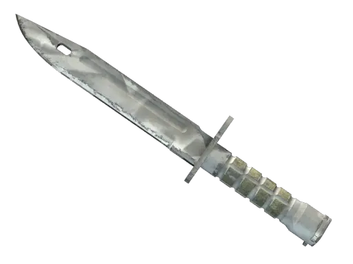 ★ Bayonet | Urban Masked