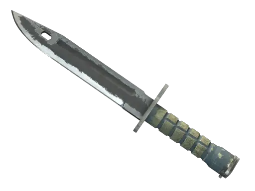 ★ Bayonet | Night