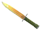 ★ Bayonet | Lore