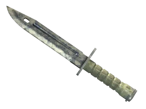 ★ Bayonet | Stained