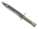 ★ Bayonet | Stained