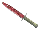 ★ Bayonet | Slaughter