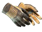 ★ Driver Gloves | Overtake