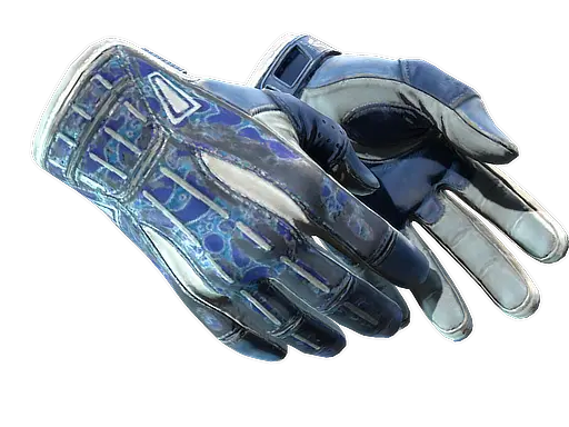 ★ Sport Gloves | Amphibious