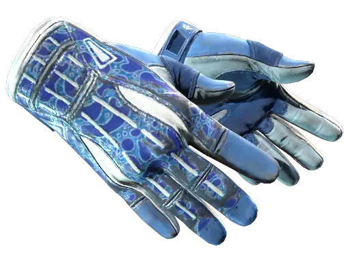 ★ Sport Gloves | Amphibious