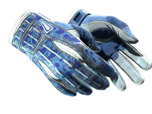 ★ Sport Gloves | Amphibious